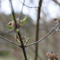 Kółko fotograficzne (7)