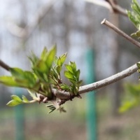 Kółko fotograficzne (12)