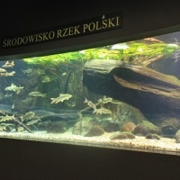 Kółko fotograficzne (1)